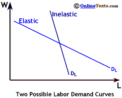 Elastic and Inelastic Labor Demand