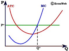 Perfectly Competitive Firm's Profit Maximizing Output