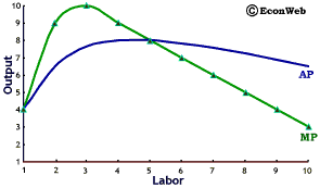 Marginal Product and Average Product Curves